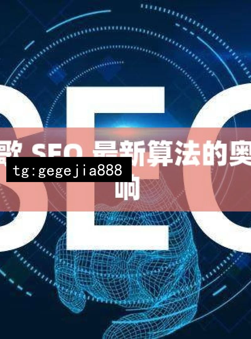 探索谷歌 SEO 最新算法的奥秘与影响