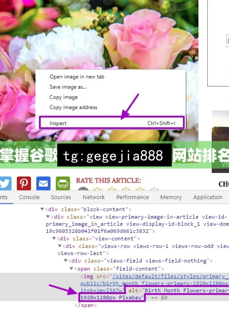 掌握谷歌 SEO 秘籍，提升网站排名