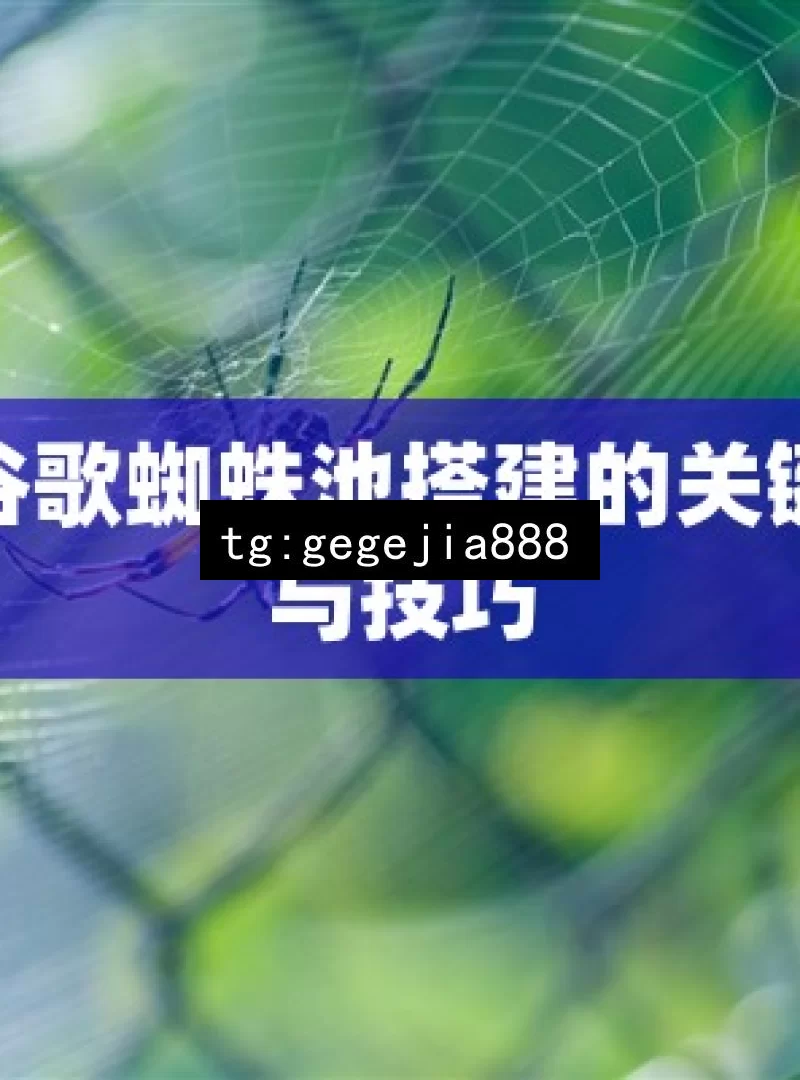 揭秘谷歌蜘蛛池搭建的关键步骤与技巧