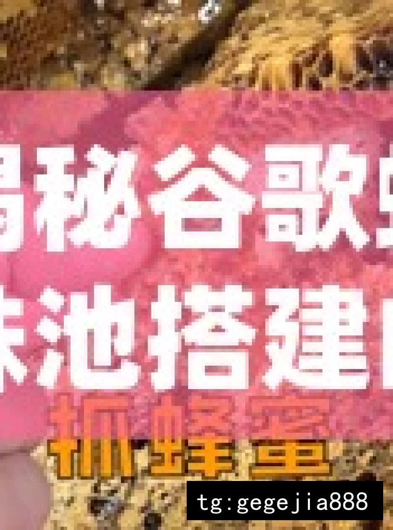 揭秘谷歌蜘蛛池搭建的关键步骤与技巧