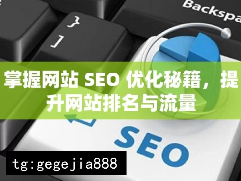 掌握网站 SEO 优化秘籍，提升网站排名与流量