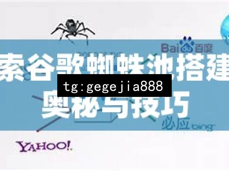 探索谷歌蜘蛛池搭建的奥秘与技巧