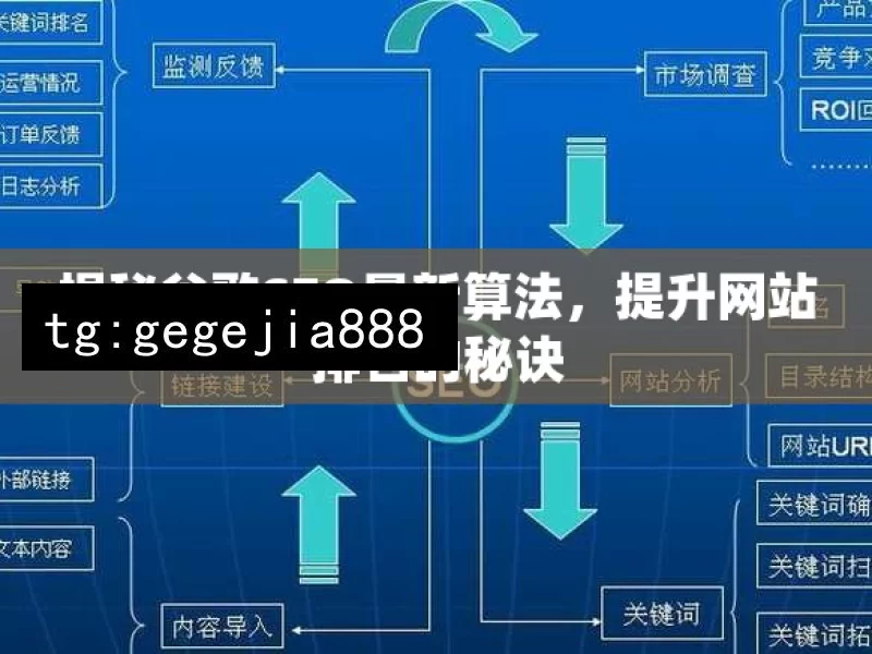 揭秘谷歌SEO最新算法，提升网站排名的秘诀