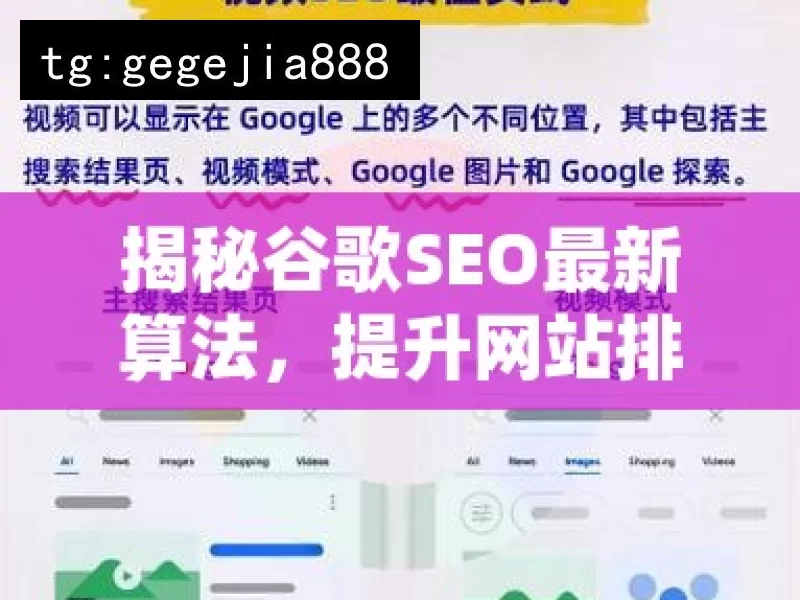 揭秘谷歌SEO最新算法，提升网站排名的秘诀