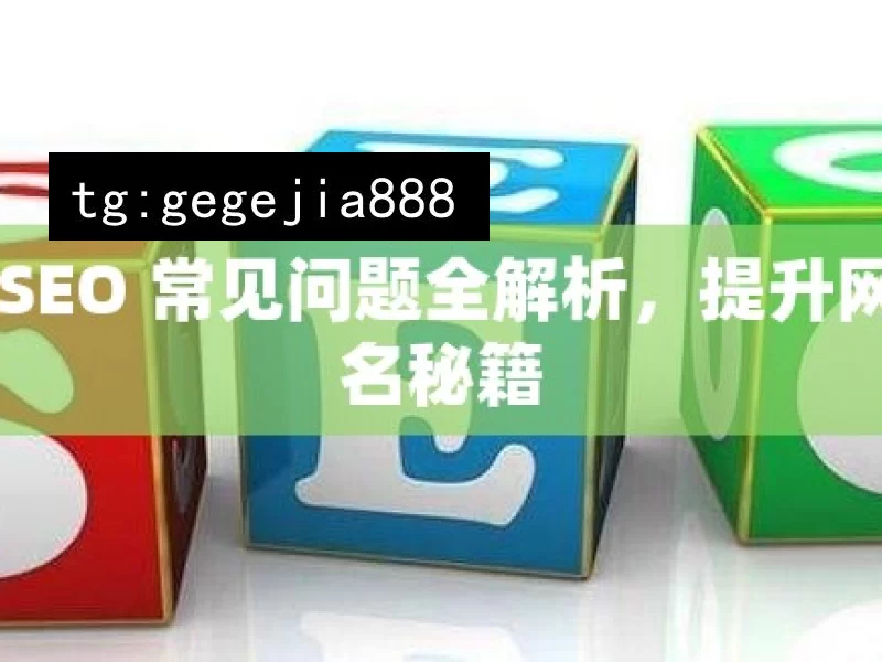 谷歌 SEO 常见问题全解析，提升网站排名秘籍