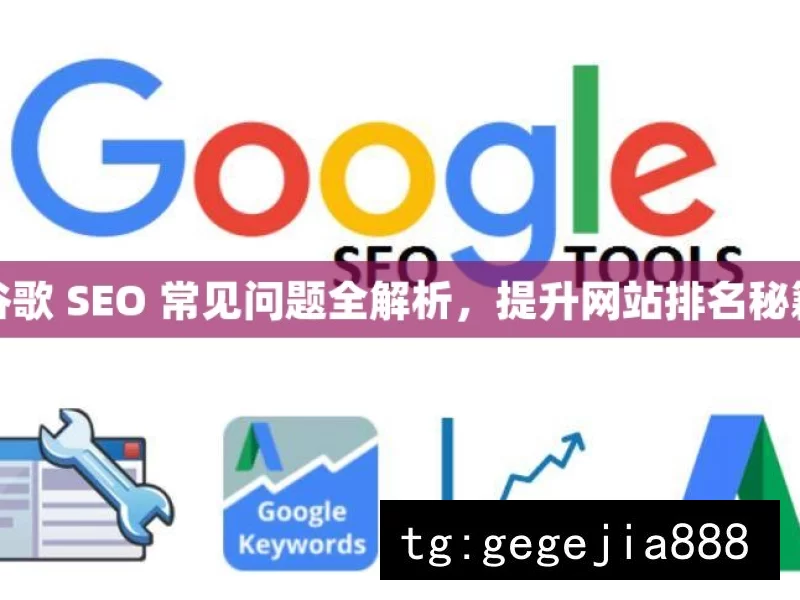 谷歌 SEO 常见问题全解析，提升网站排名秘籍