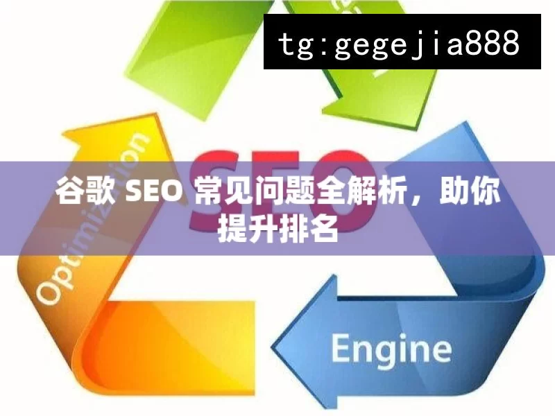 谷歌 SEO 常见问题全解析，助你提升排名