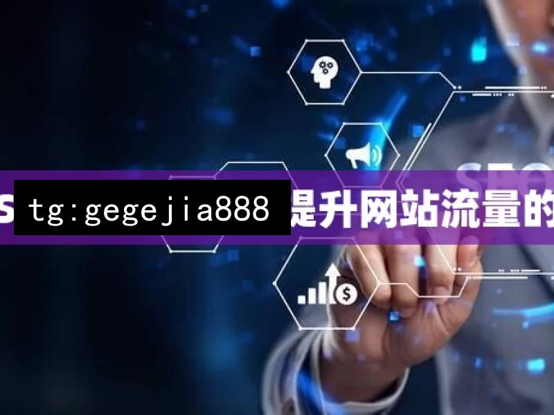 解锁谷歌SEO工具秘籍，提升网站流量的实战策略