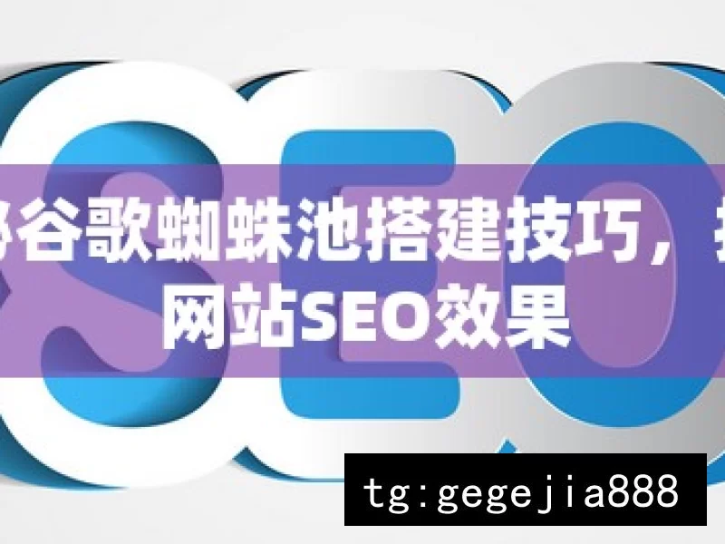 揭秘谷歌蜘蛛池搭建技巧，提升网站SEO效果