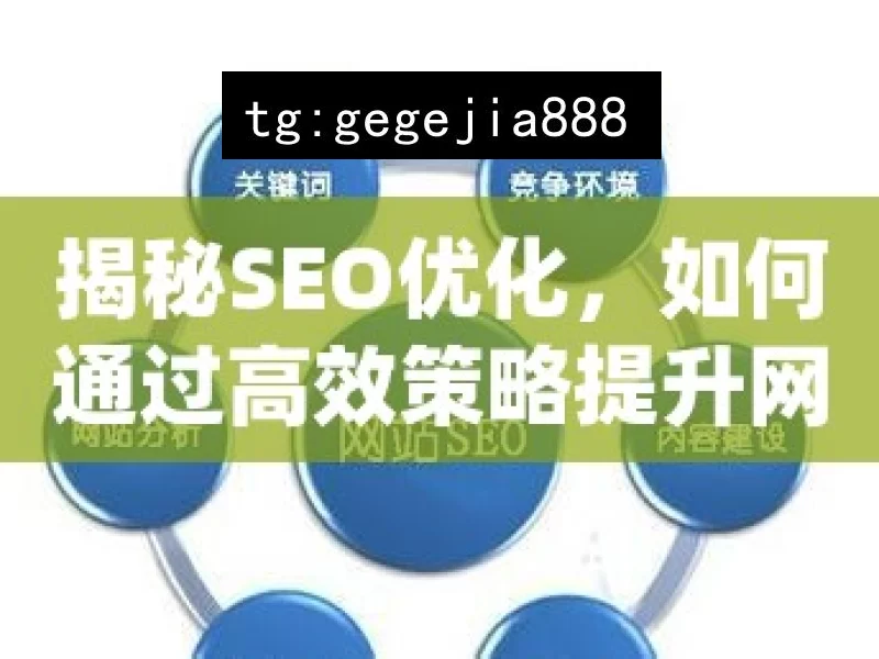 揭秘SEO优化，如何通过高效策略提升网站排名并吸引更多流量