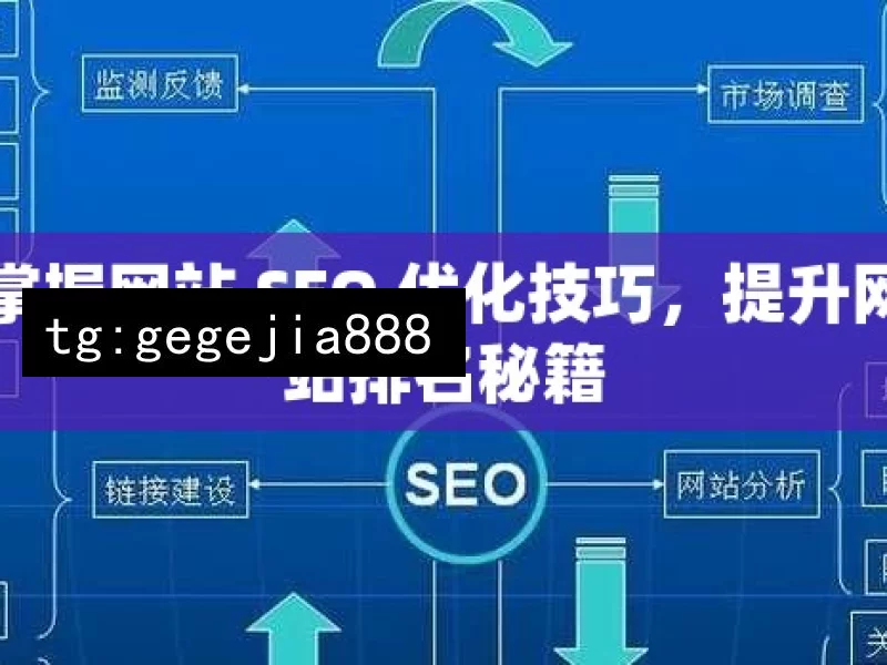 掌握网站 SEO 优化技巧，提升网站排名秘籍