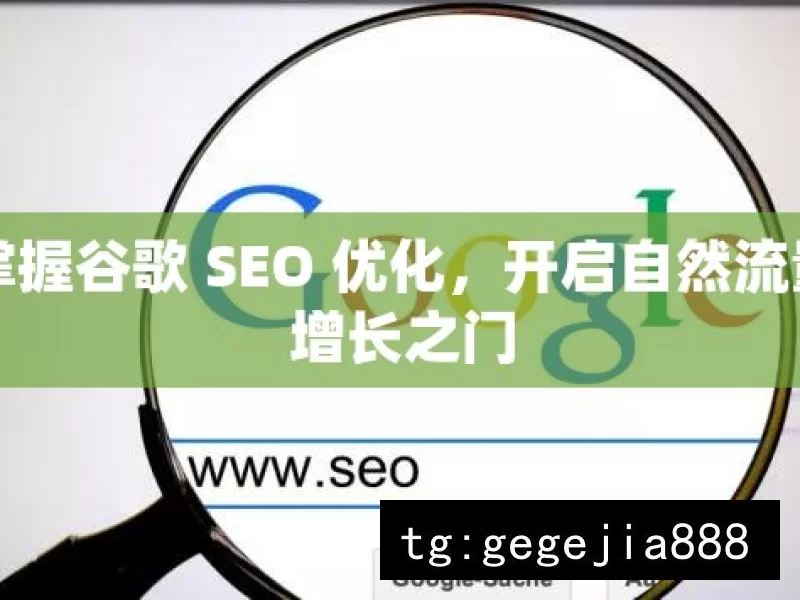 掌握谷歌 SEO 优化，开启自然流量增长之门