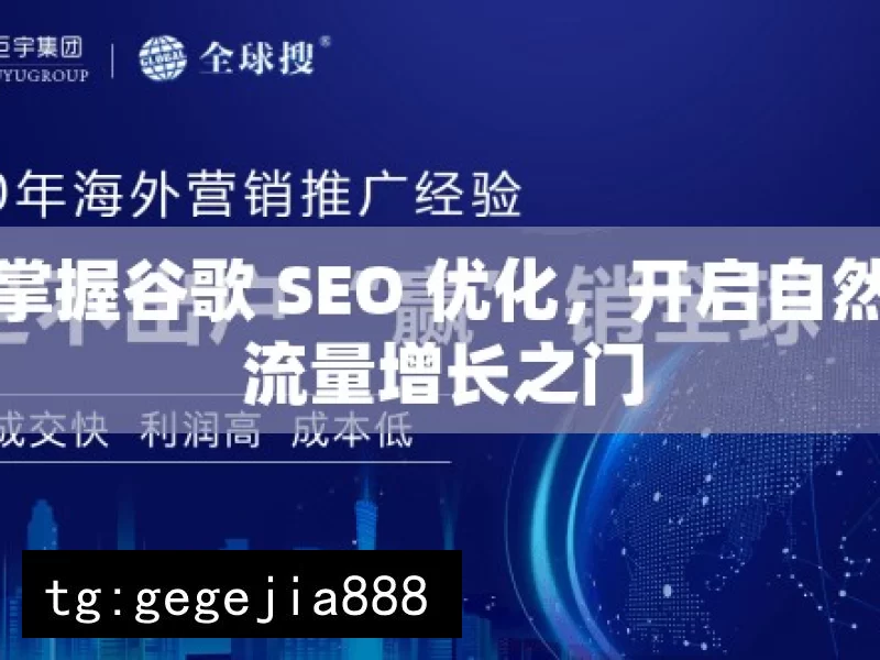 掌握谷歌 SEO 优化，开启自然流量增长之门