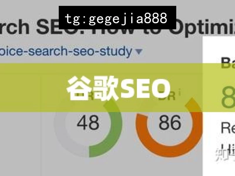 谷歌SEO