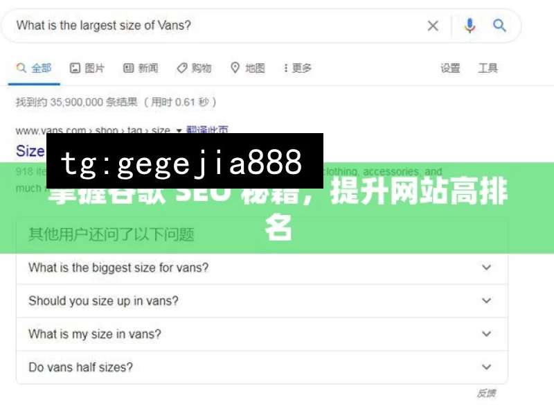 掌握谷歌 SEO 秘籍，提升网站高排名