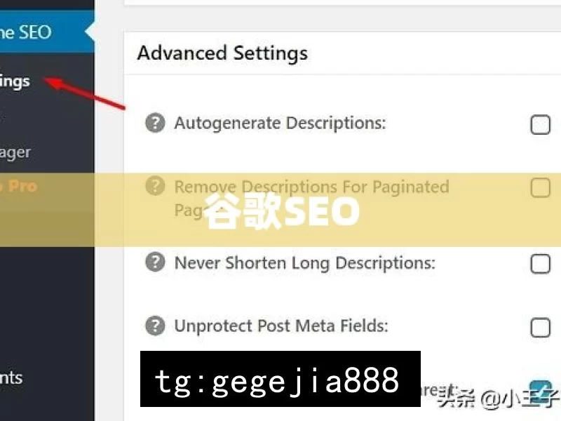 谷歌SEO