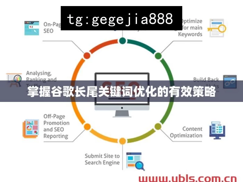 掌握谷歌长尾关键词优化的有效策略