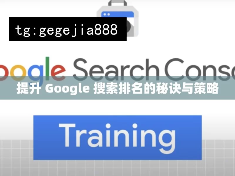 提升 Google 搜索排名的秘诀与策略