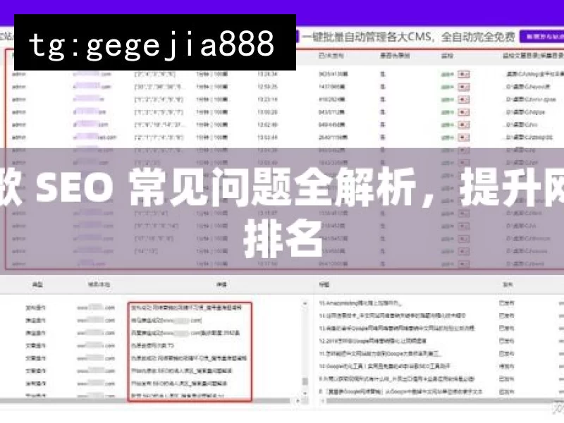 谷歌 SEO 常见问题全解析，提升网站排名