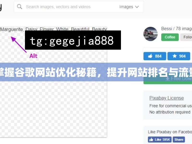 掌握谷歌网站优化秘籍，提升网站排名与流量