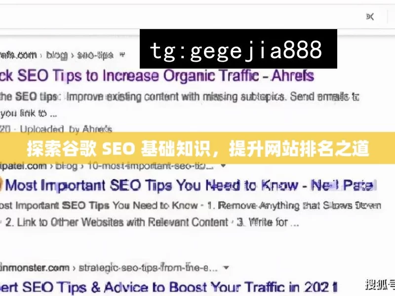 探索谷歌 SEO 基础知识，提升网站排名之道