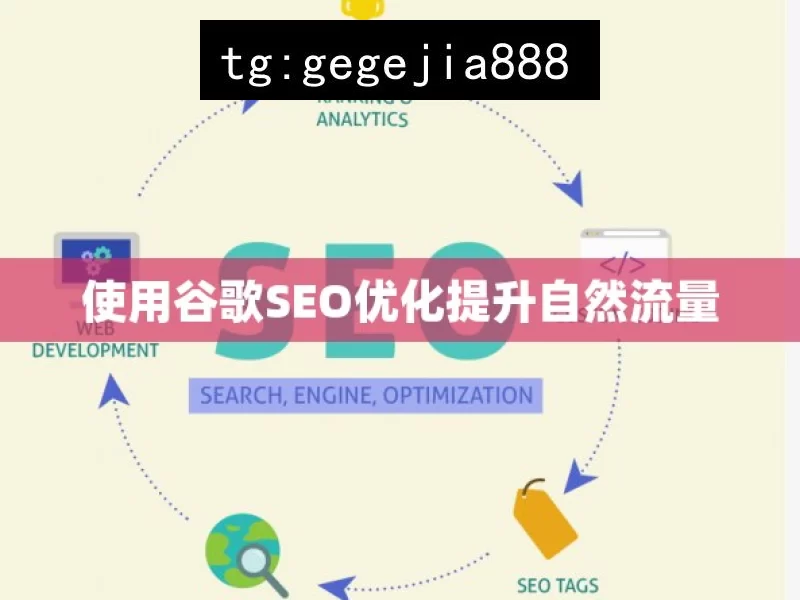 使用谷歌SEO优化提升自然流量