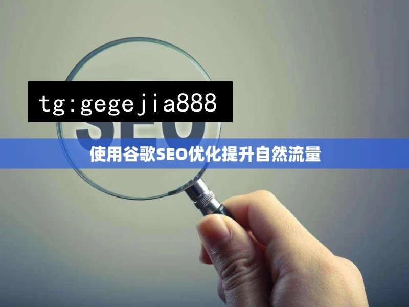 使用谷歌SEO优化提升自然流量