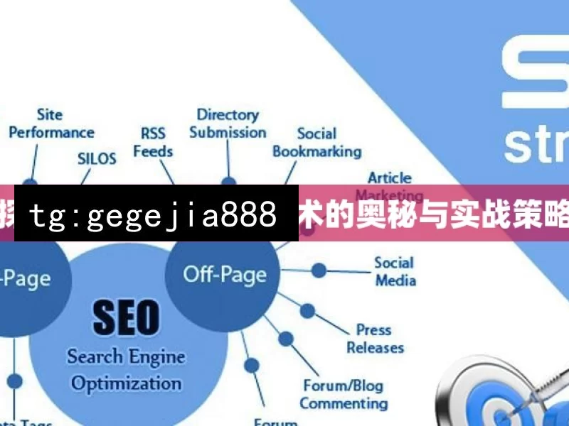 探索谷歌 SEO 优化技术的奥秘与实战策略