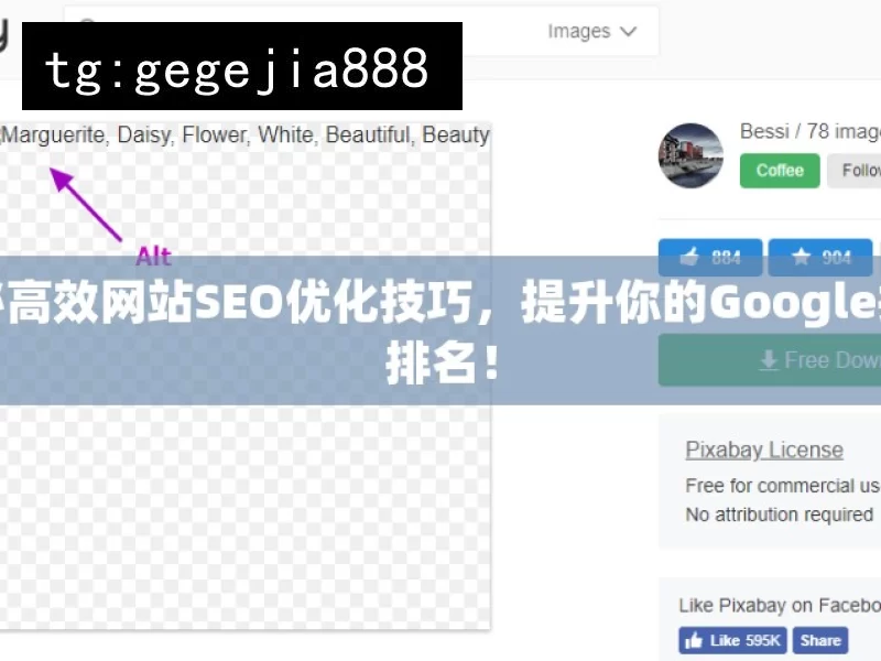 揭秘高效网站SEO优化技巧，提升你的Google搜索排名！
