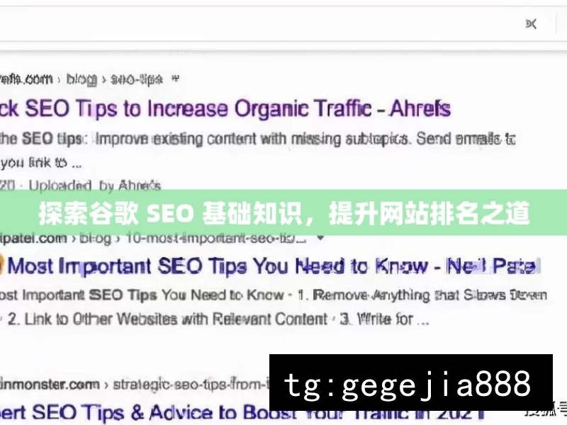 探索谷歌 SEO 基础知识，提升网站排名之道