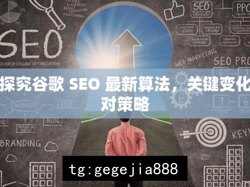 深入探究谷歌 SEO 最新算法，关键变化与应对策略