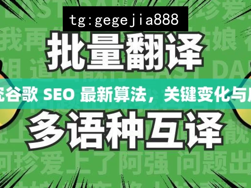 深入探究谷歌 SEO 最新算法，关键变化与应对策略