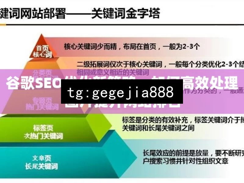 谷歌SEO优化新策略，如何高效处理图片提升网站排名