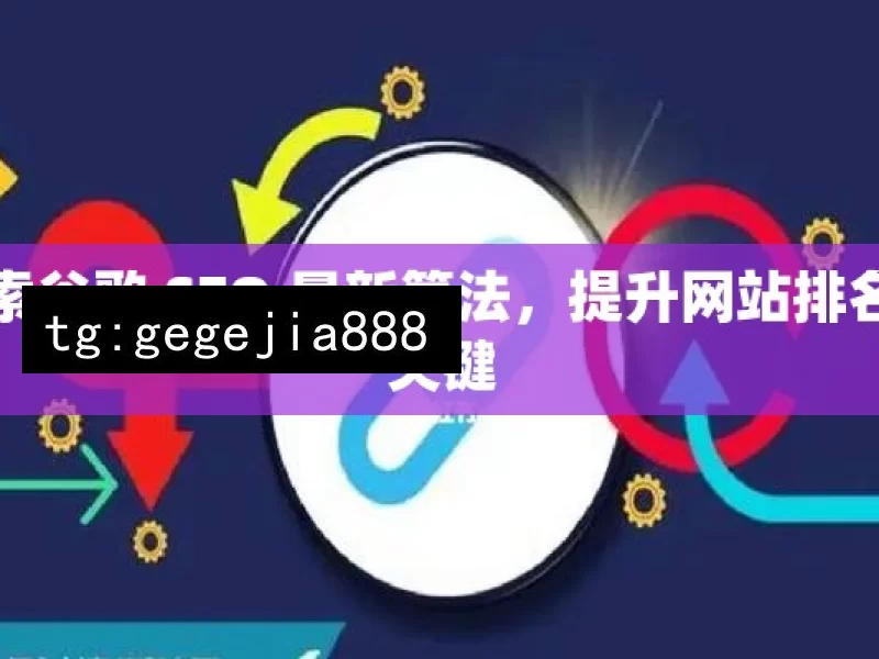 探索谷歌 SEO 最新算法，提升网站排名的关键