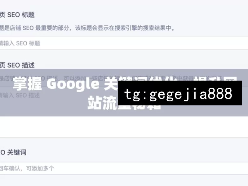 掌握 Google 关键词优化，提升网站流量秘籍