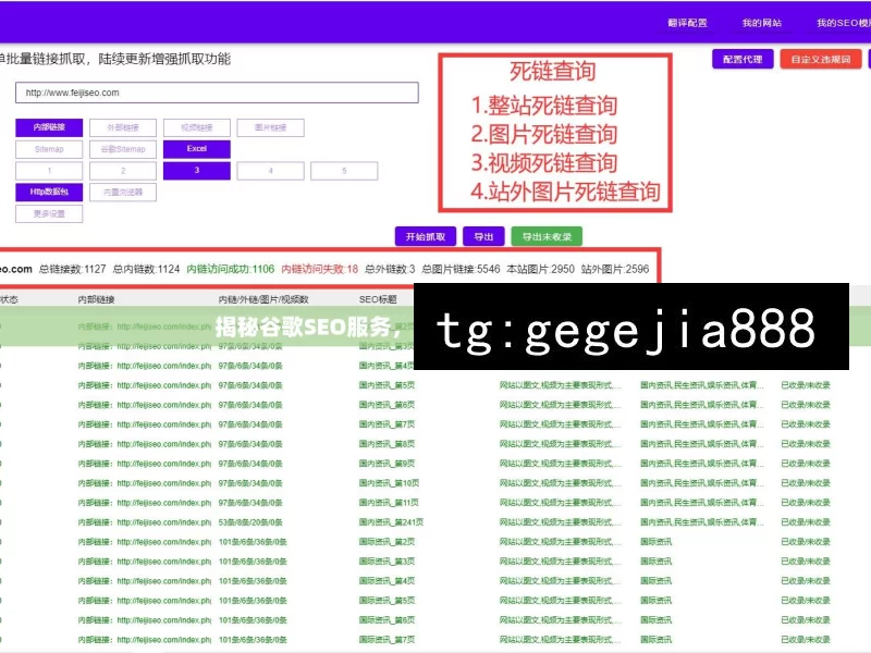 揭秘谷歌SEO服务，提升网站排名的黄金法则