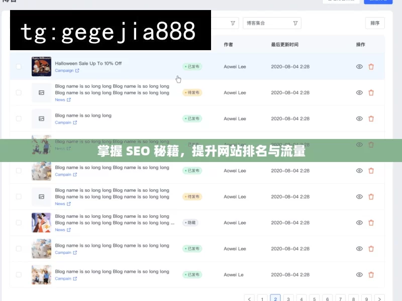 掌握 SEO 秘籍，提升网站排名与流量