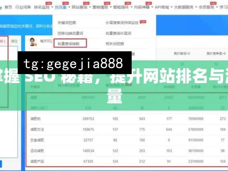 掌握 SEO 秘籍，提升网站排名与流量