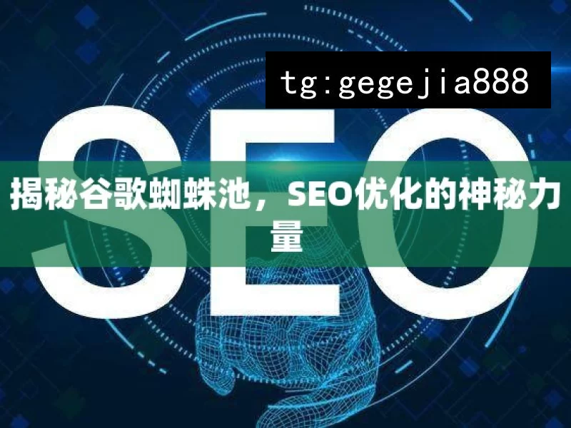 揭秘谷歌蜘蛛池，SEO优化的神秘力量