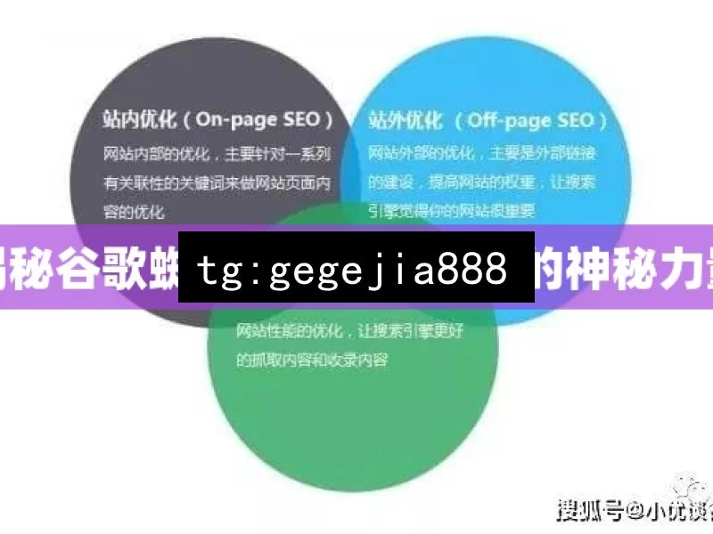 揭秘谷歌蜘蛛池，SEO优化的神秘力量