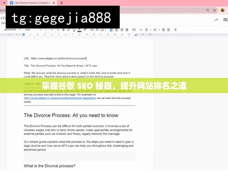 掌握谷歌 SEO 秘籍，提升网站排名之道