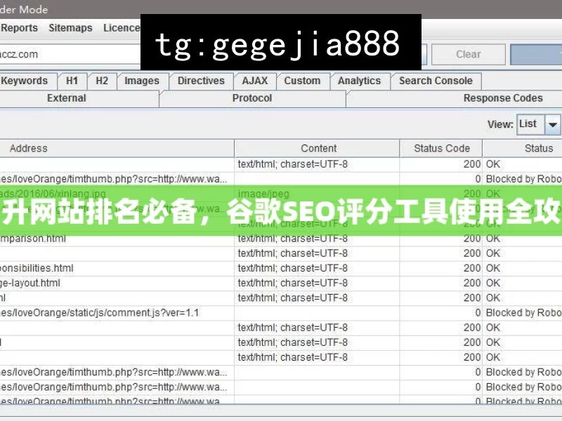 提升网站排名必备，谷歌SEO评分工具使用全攻略