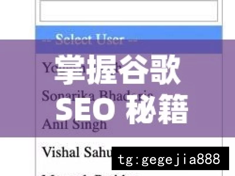 掌握谷歌 SEO 秘籍，提升网站排名与流量