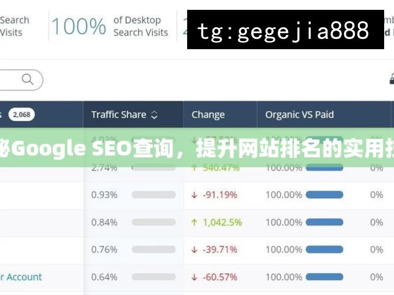 揭秘Google SEO查询，提升网站排名的实用技巧