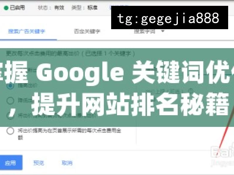 掌握 Google 关键词优化，提升网站排名秘籍