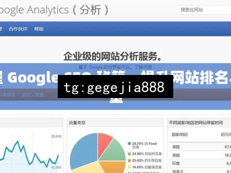 掌握 Google SEO 秘籍，提升网站排名与流量