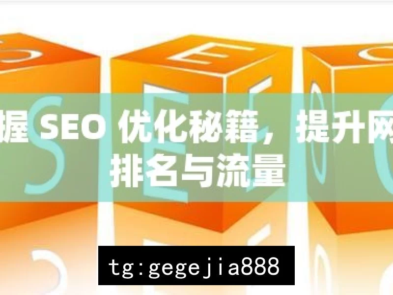 掌握 SEO 优化秘籍，提升网站排名与流量