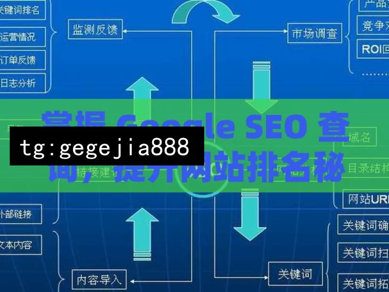 掌握 Google SEO 查询，提升网站排名秘籍