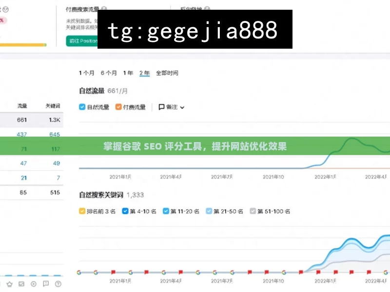 掌握谷歌 SEO 评分工具，提升网站优化效果