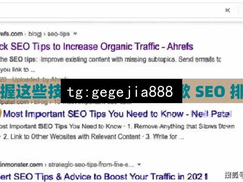 掌握这些技巧，轻松提升谷歌 SEO 排名